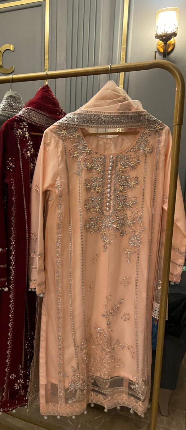 Aghanoor Softenet Article  Heavy Handwork And Embroidered Stiched  With Heavy Embroidered Back And Dupatta - Image 3